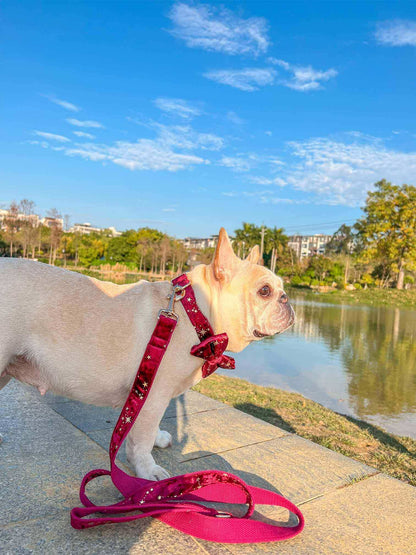 Dog Red Velvet Leash Set - Frenchiely