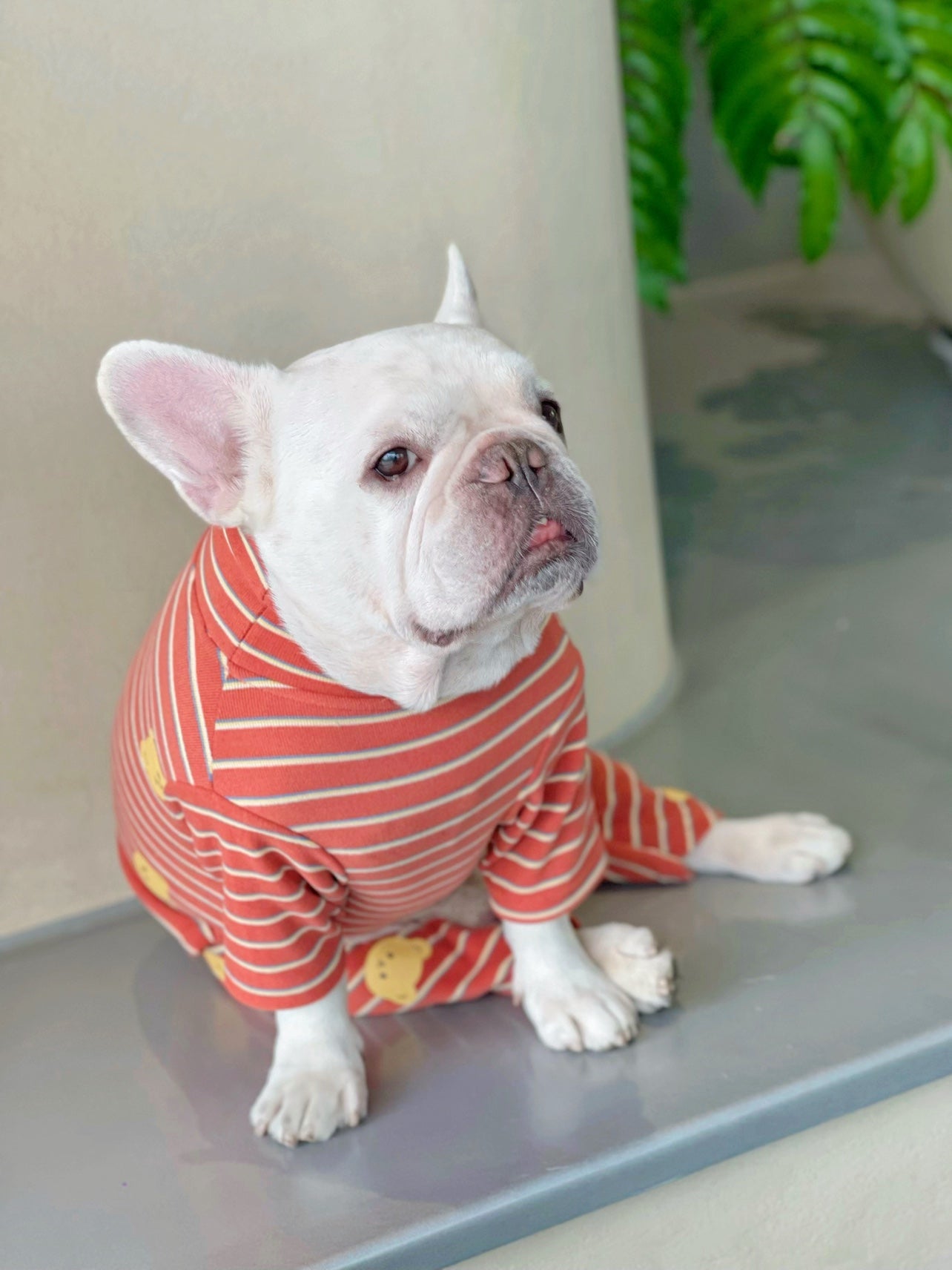 Dog Orange Striped Pajamas Onesie - Frenchiely