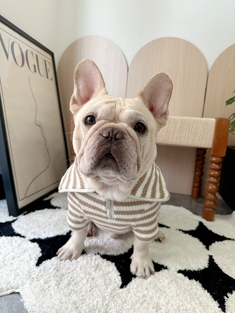 Dog Black Stripe Zipper-up Sweater