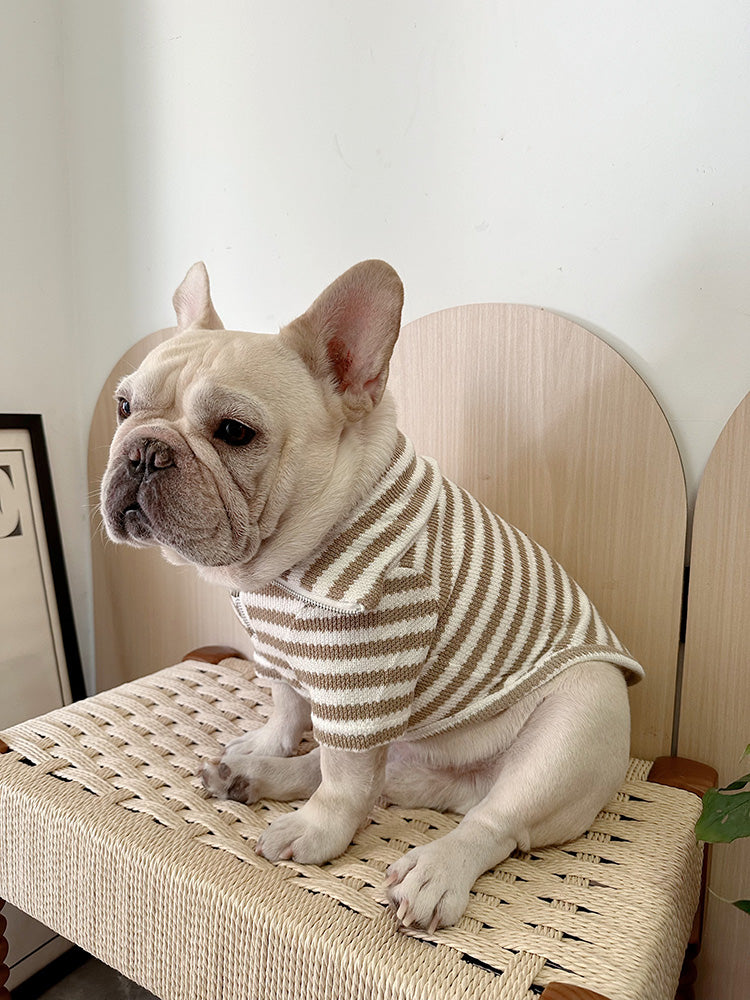 Dog Black Stripe Zipper-up Sweater