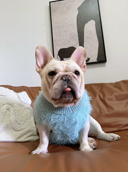 Dog Blue Stylish Sweater Vest for small medium dogs by Frenchiely