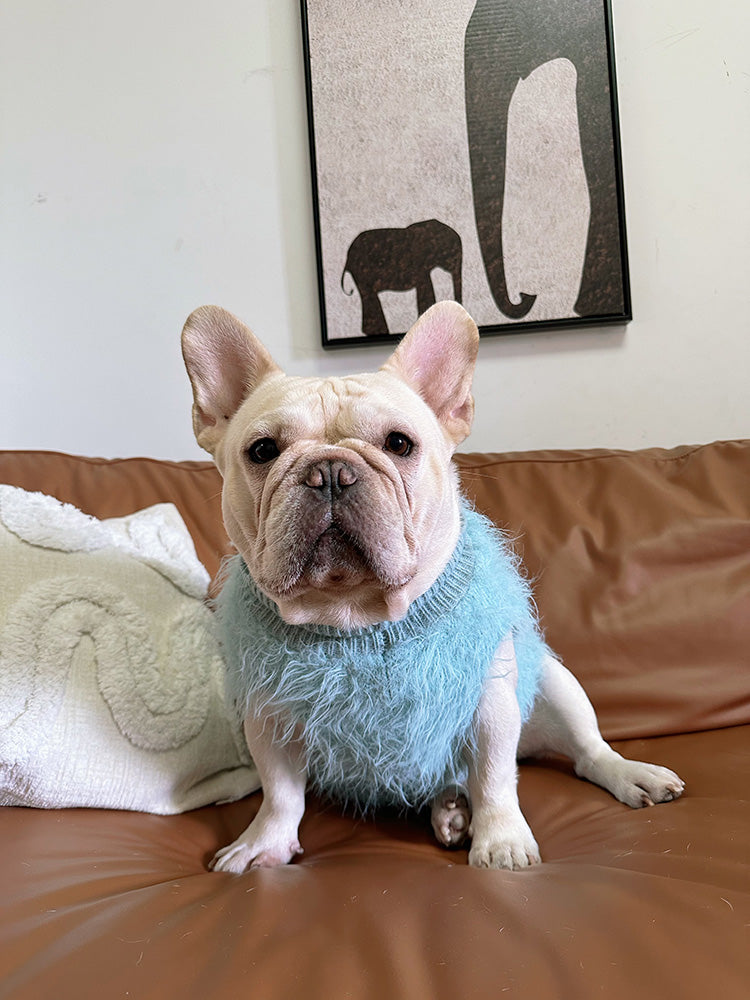 Dog Blue Stylish Sweater Vest for small medium dogs by Frenchiely