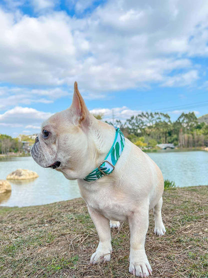 Dog Tropical Vibes Collar - Frenchiely