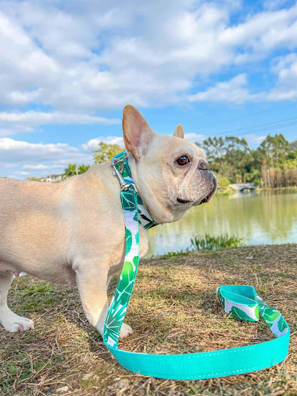 Dog Tropical Vibes Leash Set - Frenchiely