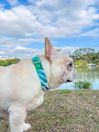 Dog Tropical Vibes Collar - Frenchiely