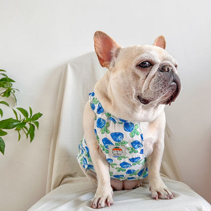 Dog blue Tulips dress for small medium dogs by frenchiely