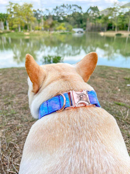 Dog Collar- The Universe - Frenchiely