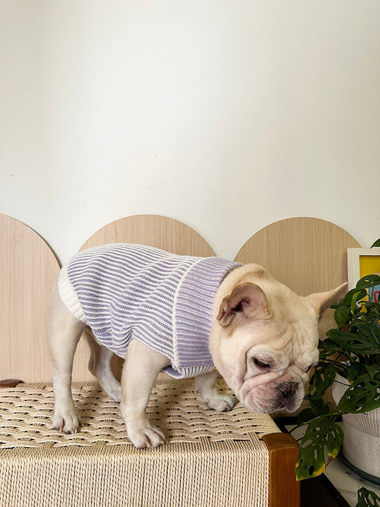 Dog Winter Warm Lapel Sweater for Small Medium Dogs by Frenchiely.com