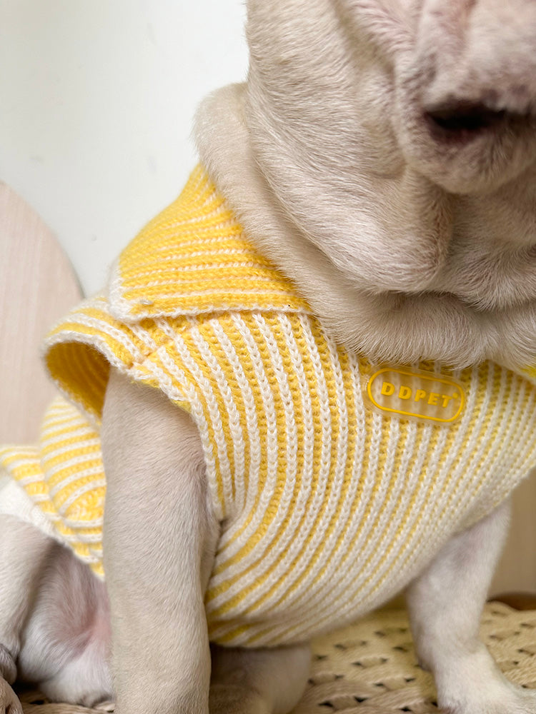 Dog Lapel Sweater