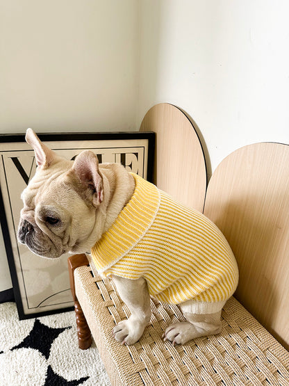 Dog Lapel Sweater