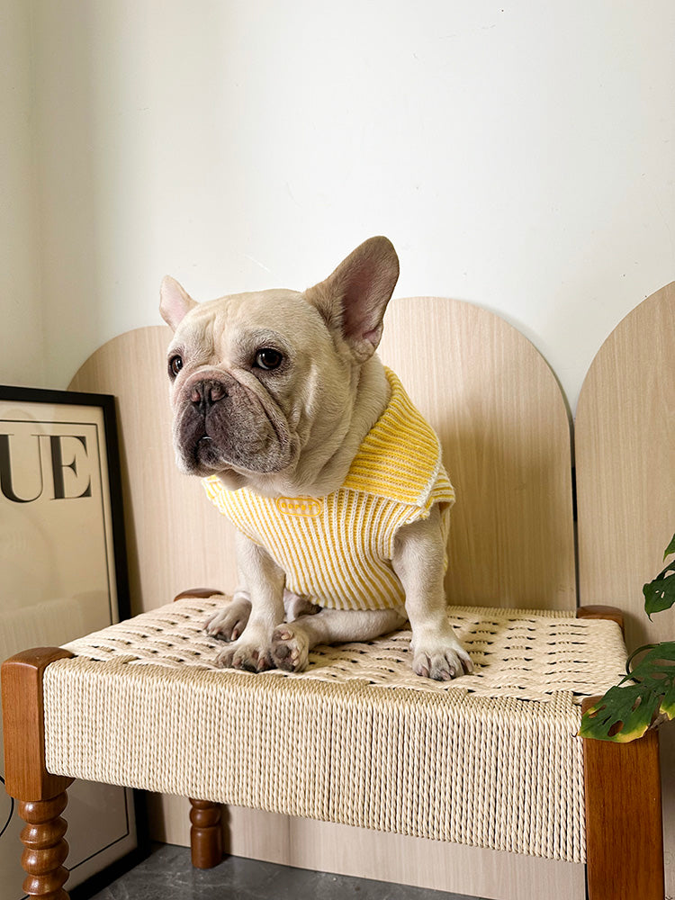 Dog Lapel Sweater