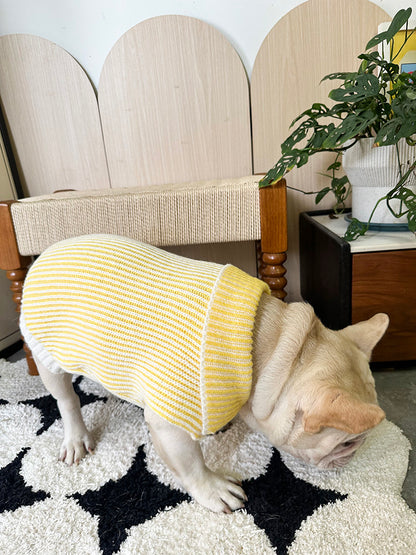 Dog Lapel Sweater