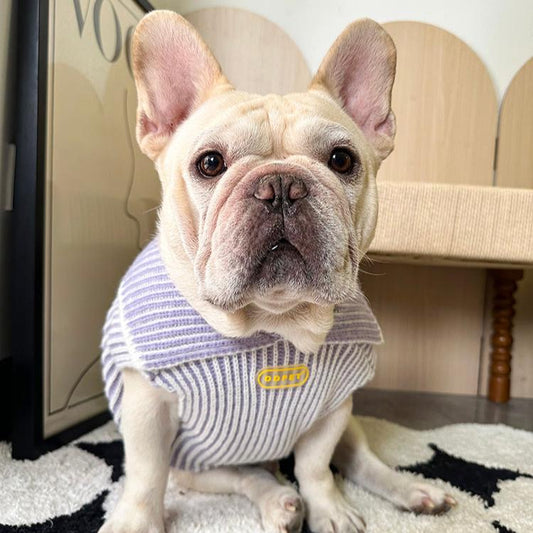 Dog Winter Warm Lapel Sweater for Small Medium Dogs by Frenchiely.com