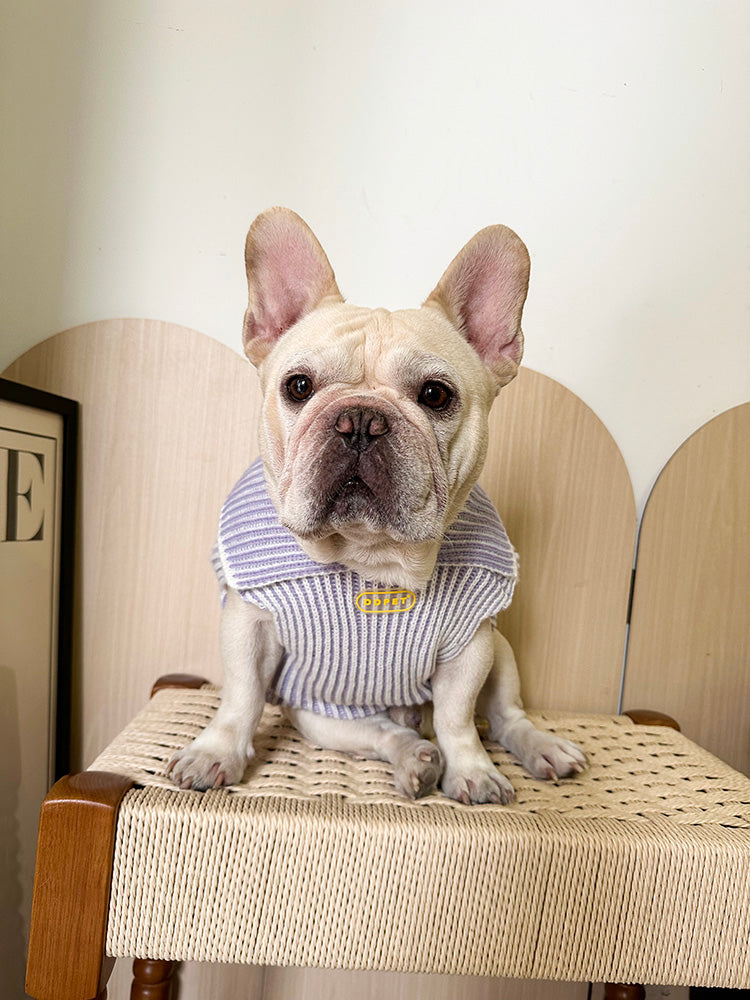 Dog Winter Warm Lapel Sweater for Small Medium Dogs by Frenchiely.com