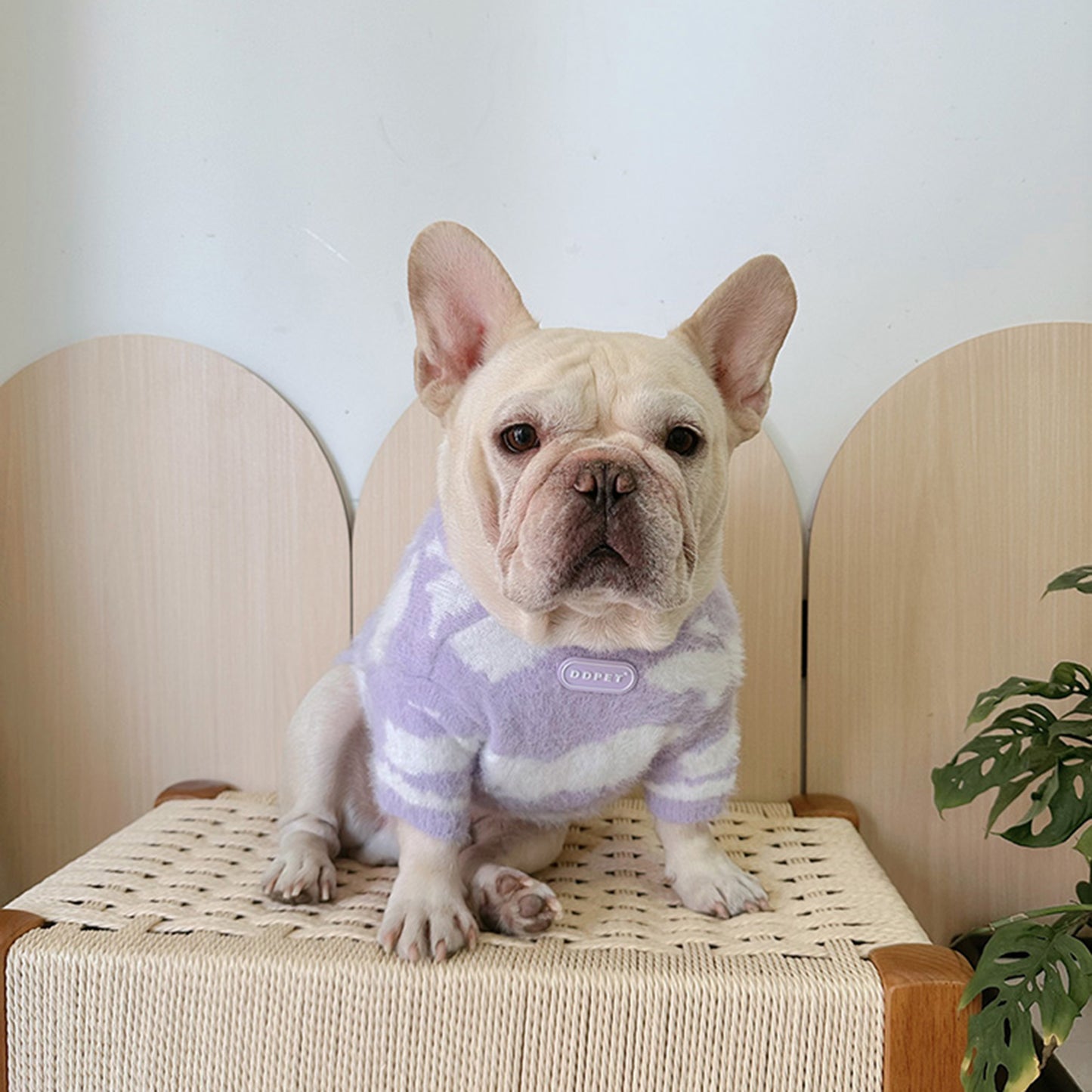 Purple White Sweater