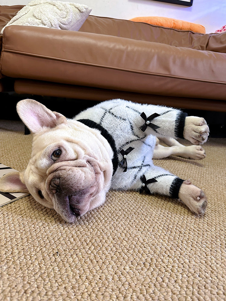 Dog Bowtie White Black Sweater - Frenchiely