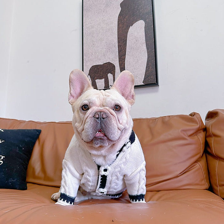 dog white flower cardigan sweater for medium dog breeds by Frenchiely
