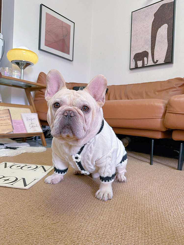 dog white flower cardigan sweater for medium dog breeds by Frenchiely