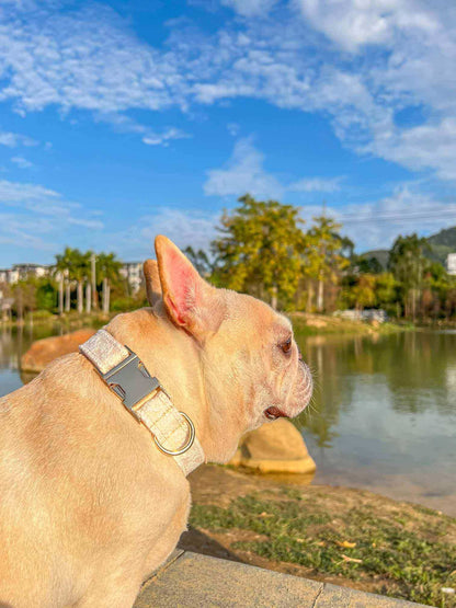 Dog Lace Wedding Collar - Frenchiely