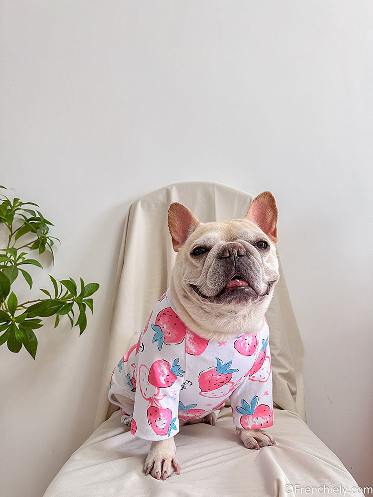 Bulldog onesie 2024 for dogs