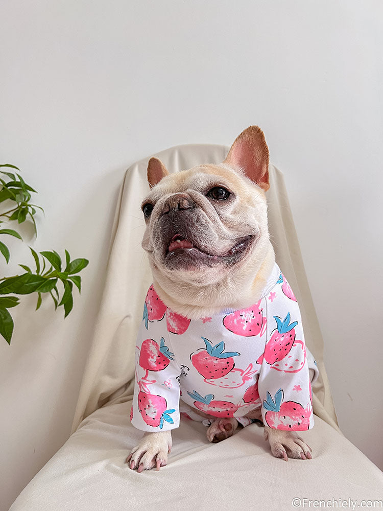 dog white strawberry onesie jumpsuit for medium dogs by frenchiely