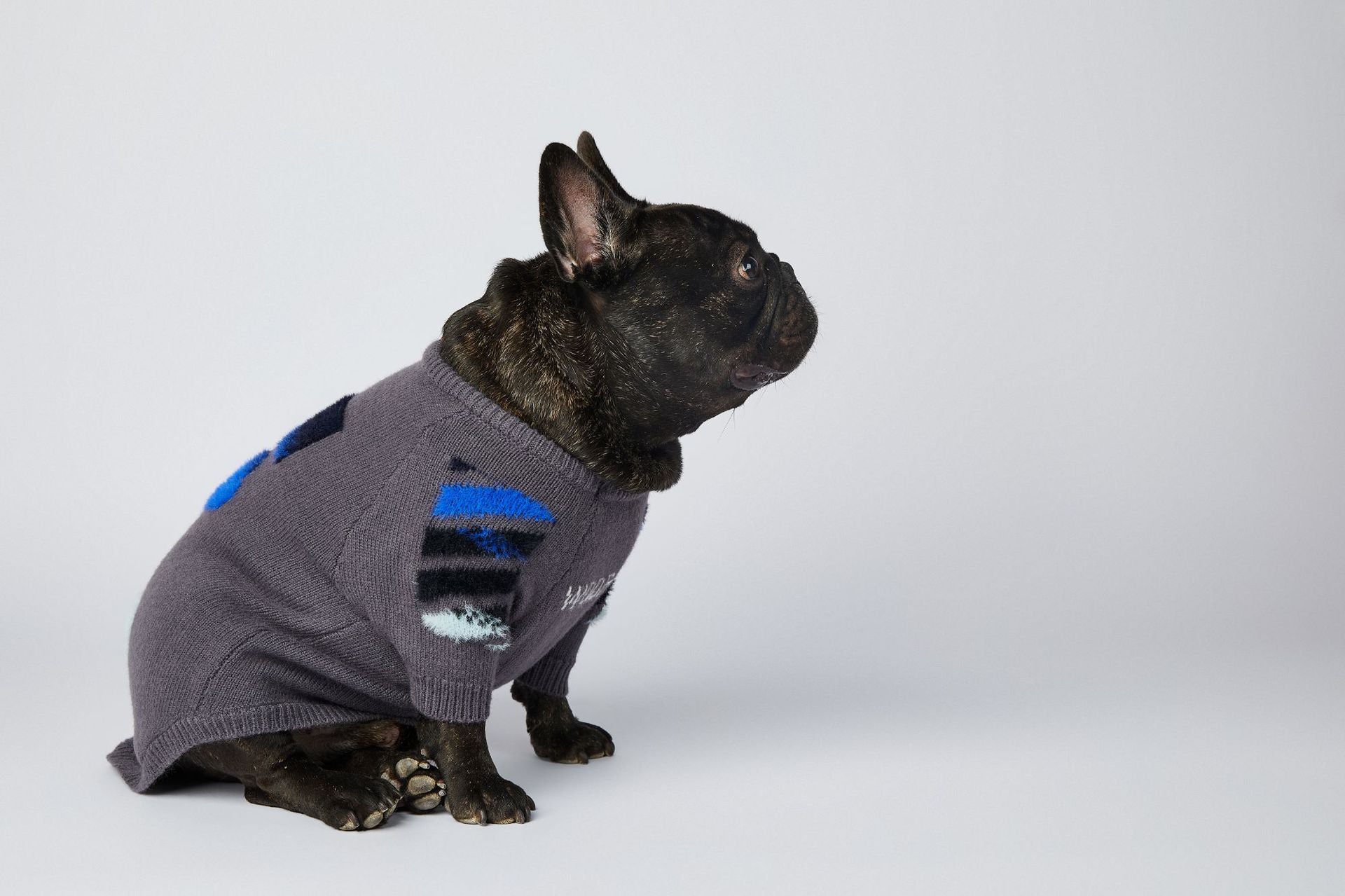 Dog Grey Woof Jumper – Frenchiely