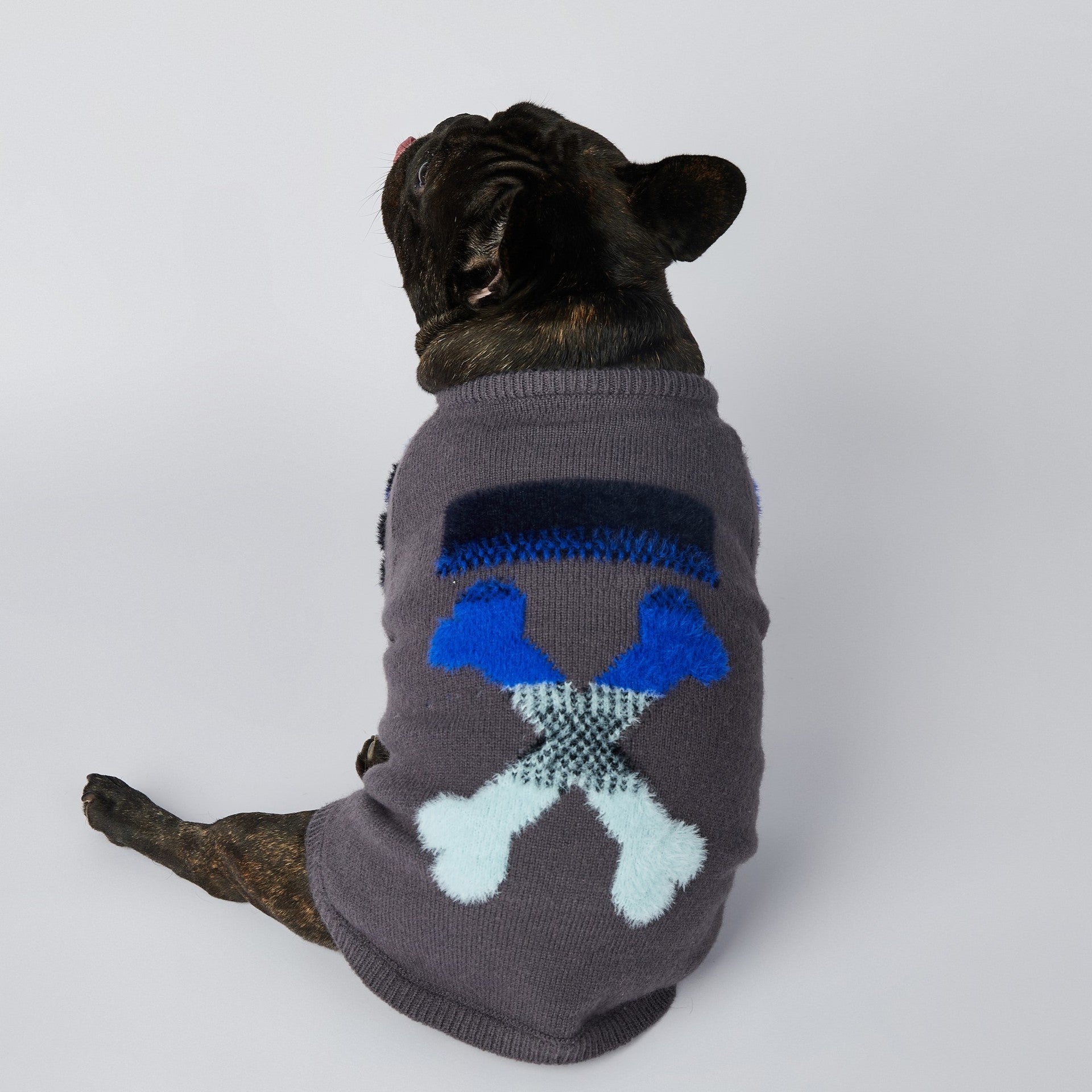 Under armour dog store apparel