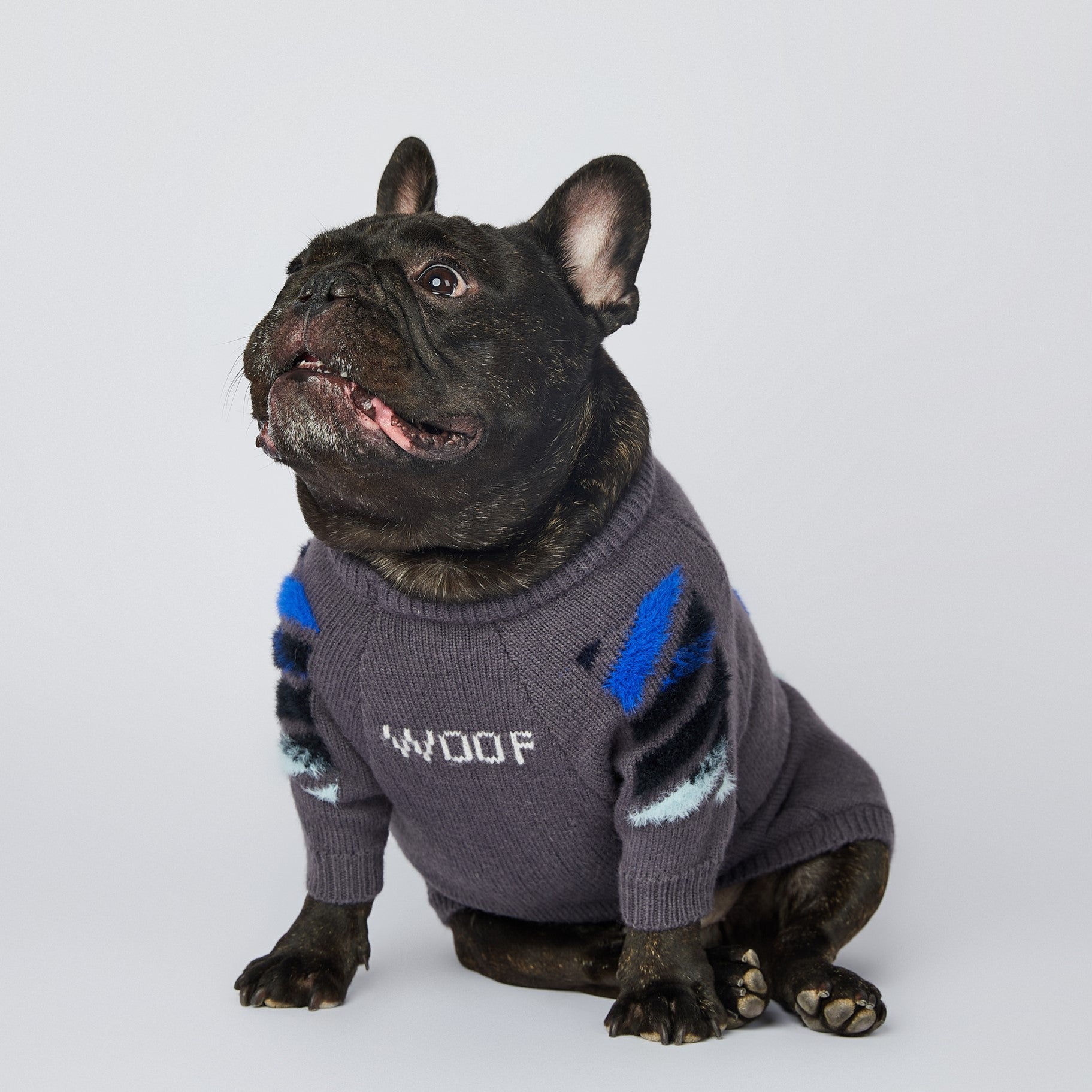 Dog Grey Woof Jumper – Frenchiely