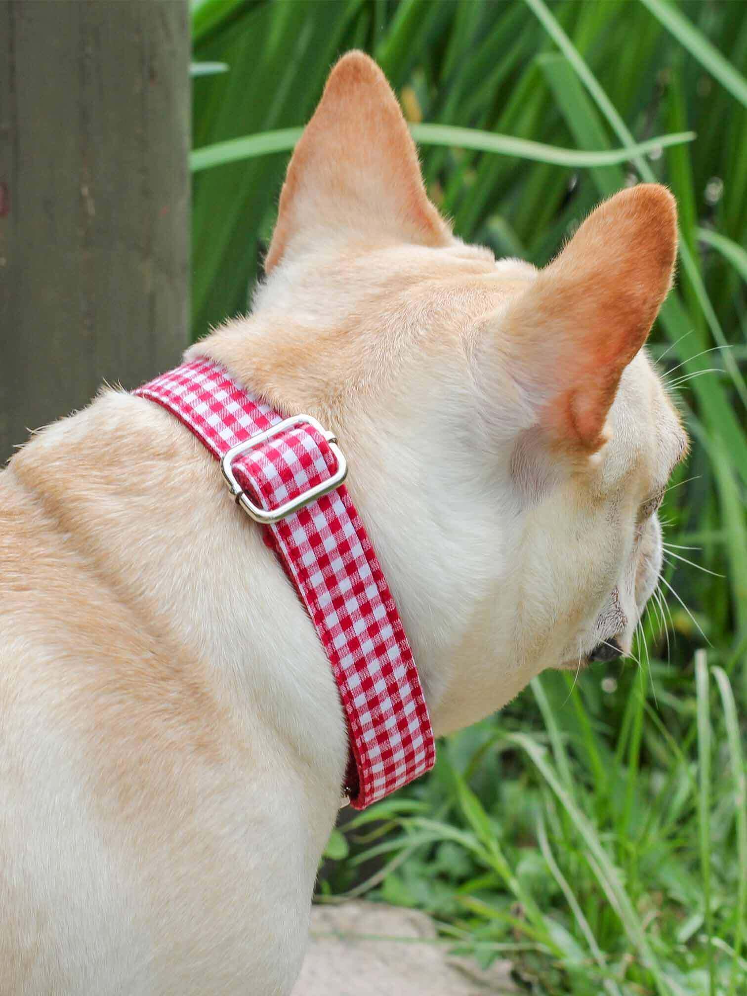 Dog Red Plaid Collar - Frenchiely