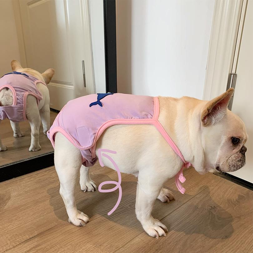best Heat Period Pants for Female Frenchies