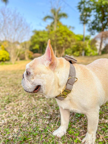 Dog Brown Collar Leash Set - Frenchiely