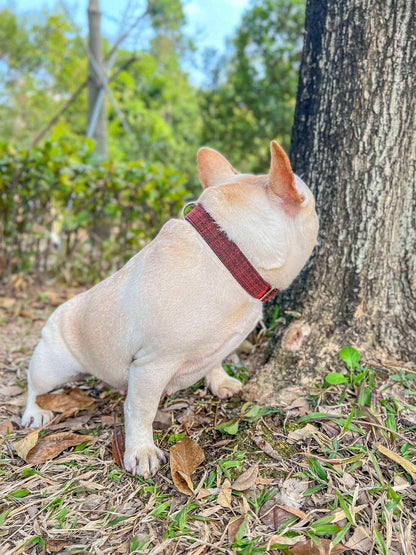 Dog Red Collar Leash Set - Frenchiely