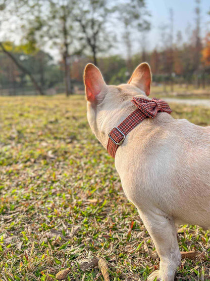 Dog Red Plaid Leash Set - Frenchiely