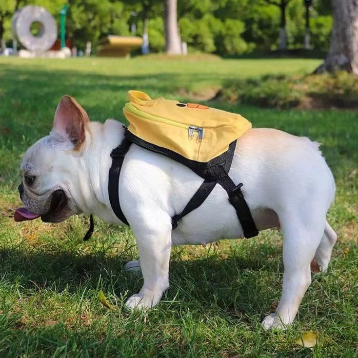 Frenchie shop backpack carrier