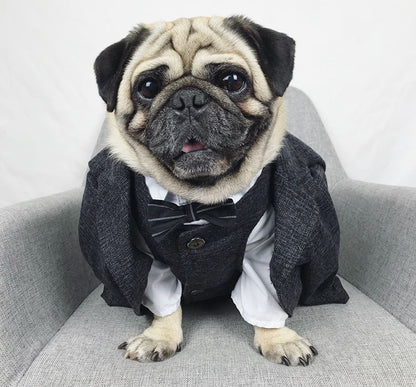 Black French Bulldog Wedding Outfit Coat - Frenchiely