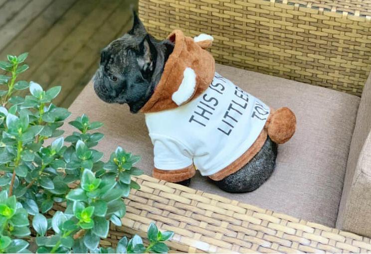 Cartoon Bear Dog Hoodie Costume for Bulldogs-2 Pieces - Frenchiely