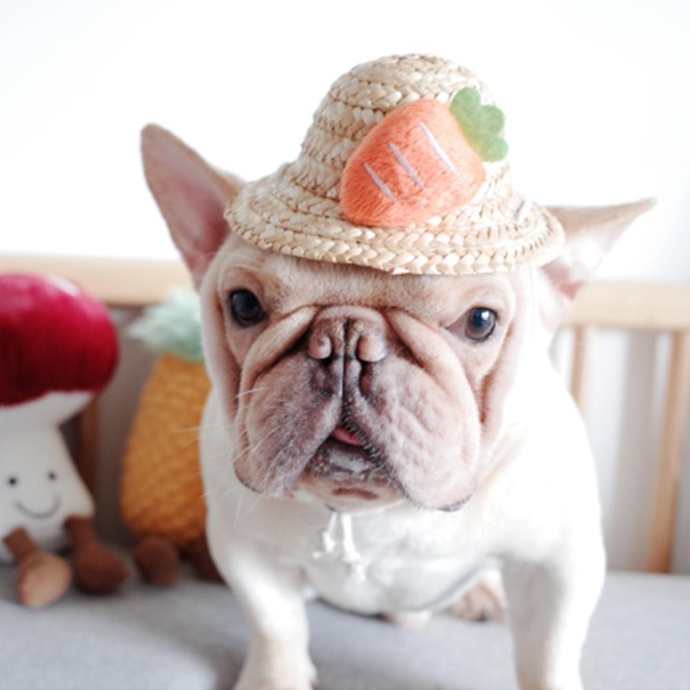 Dog Spinning Straw Hat with Drawcord for French Bulldog - Frenchiely