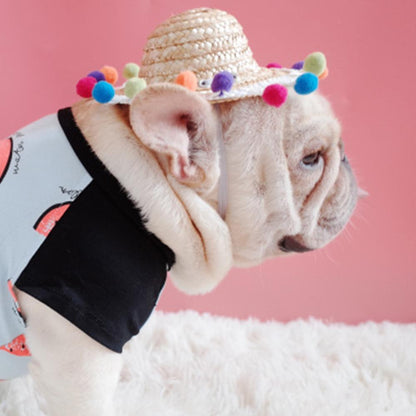 Summer Straw Hat for Frenchies - Frenchiely