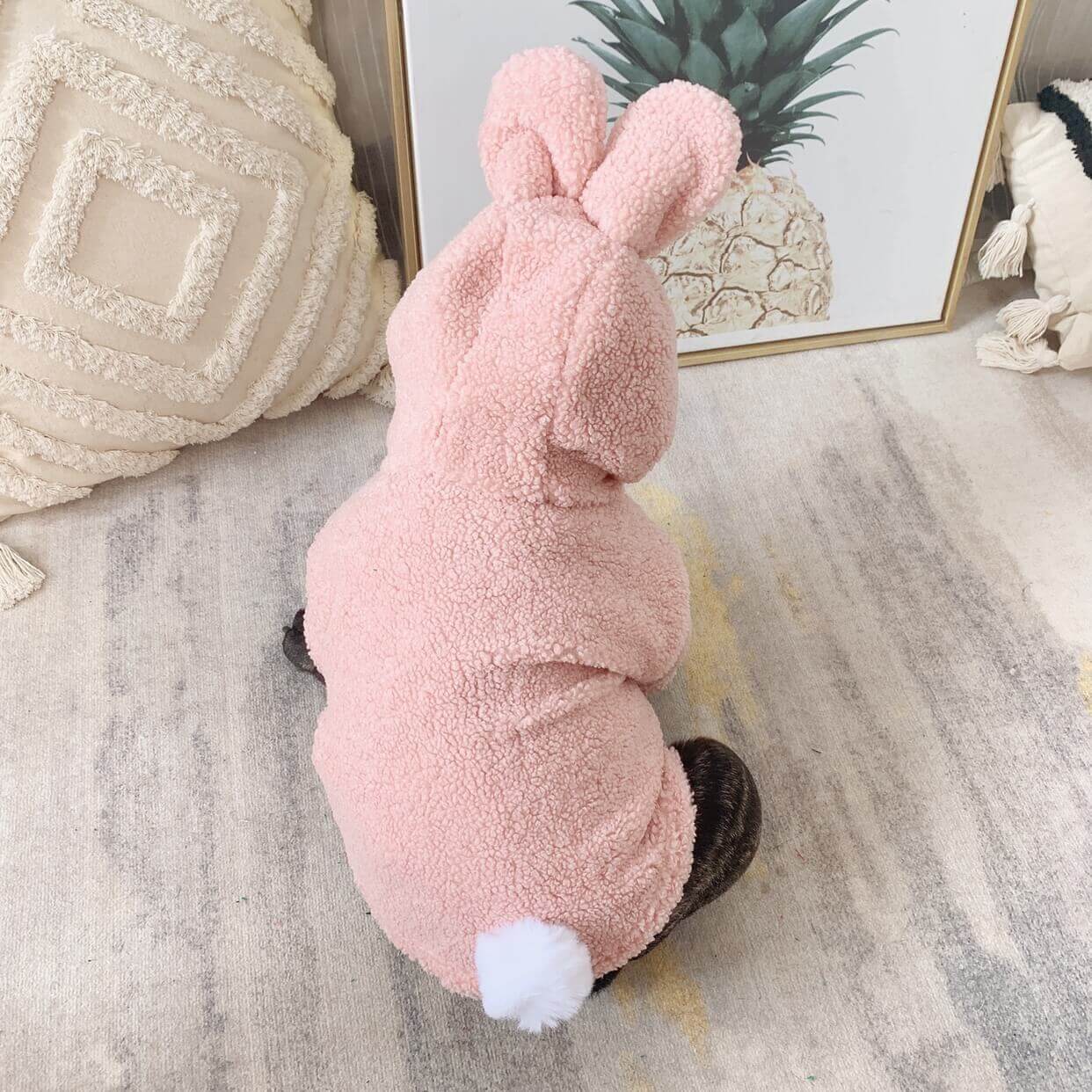 Dog Bunny costume hoodie for small medium dogs by Frenchiely