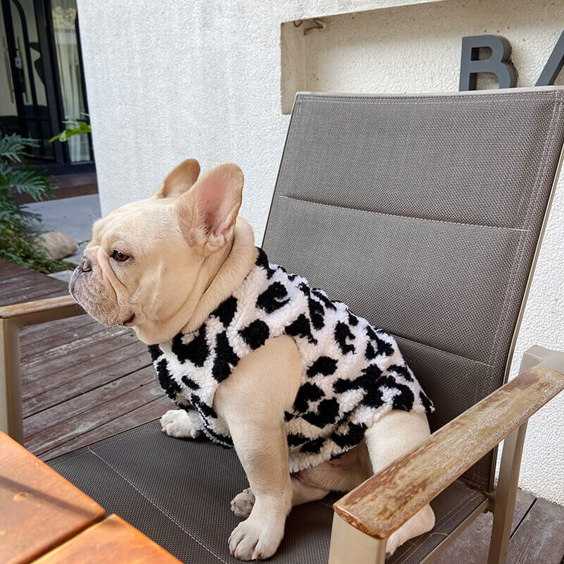 French bulldog denim jacket best sale