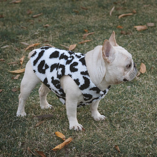 Dog Cow Winter Jacket Coat for French Bulldogs by Frenchiely 0