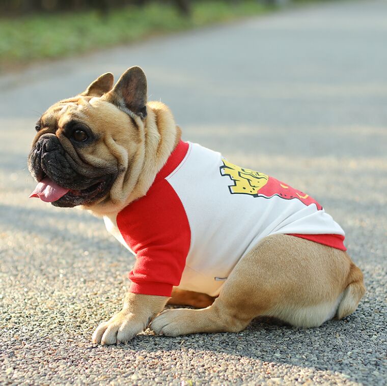 Dog Funny Tee Shirts For Medium Dogs Clothing For French Bulldogs   DogFunnyTeeShirtsforMediumDogswithFriedChips02 