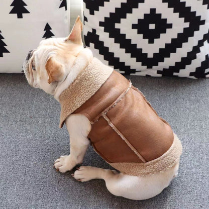 Dog Suede Winter Jacket Coat for Frenchies