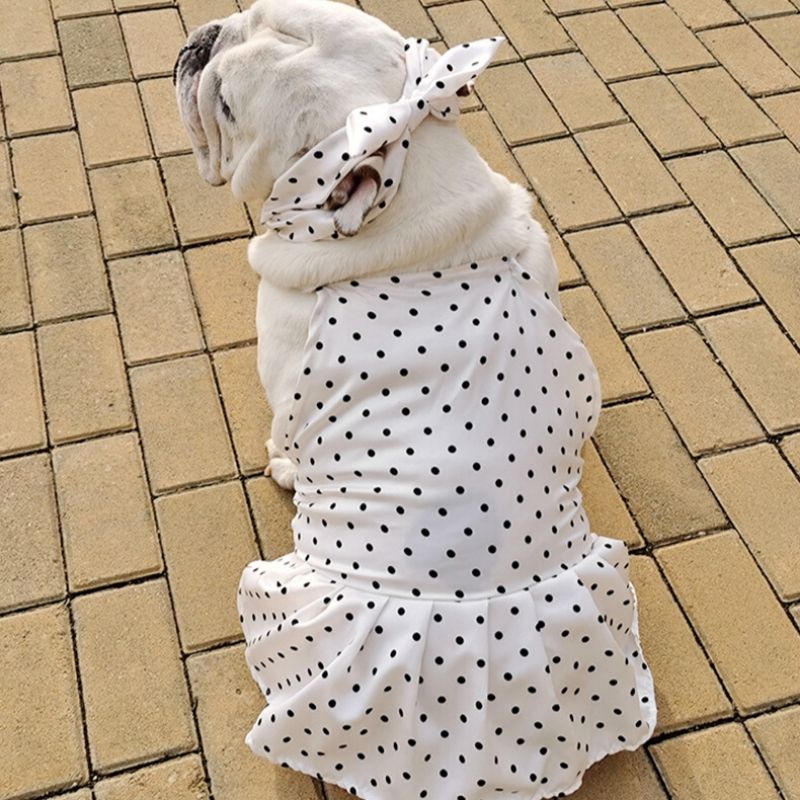 White Dog Dress