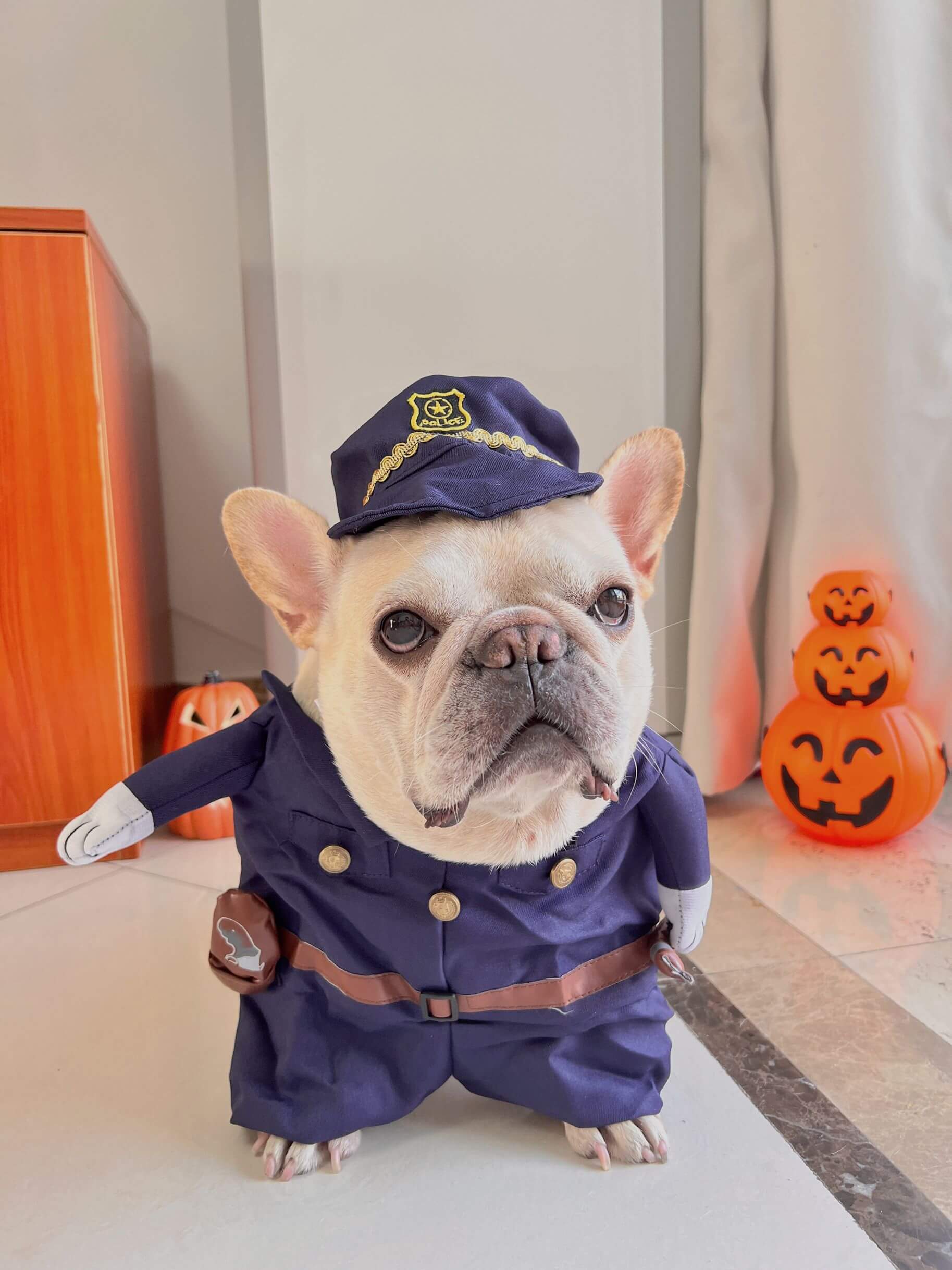 police dog costume for medium dogs french bulldogs