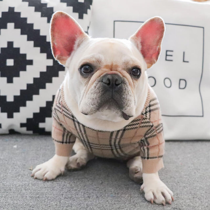 Dog Cardigan Sweater | French Bulldog Clothing Brand | By Frenchiely