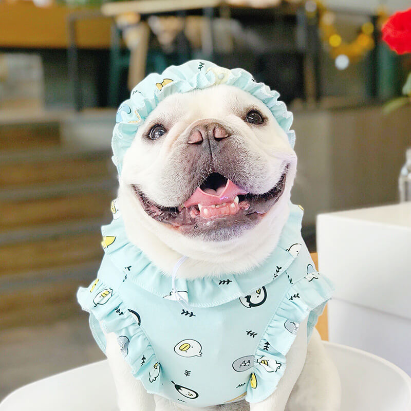 Bulldog pajamas for store dog