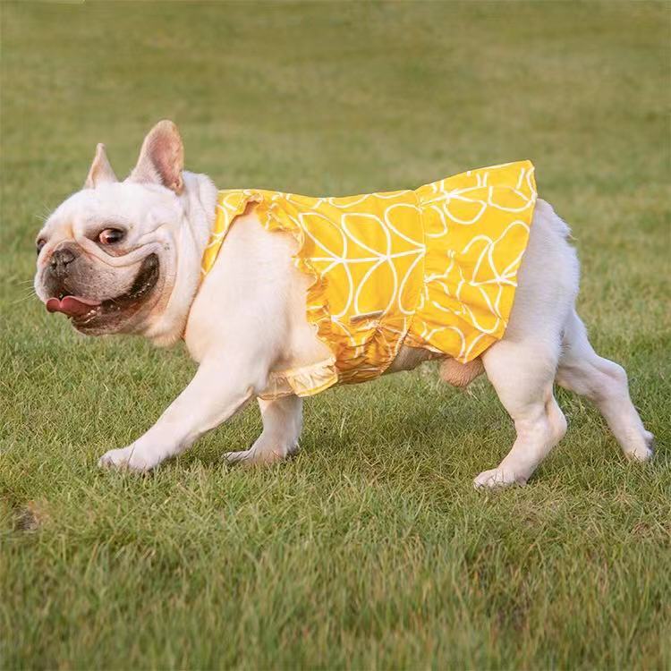 Frenchie dress 2024