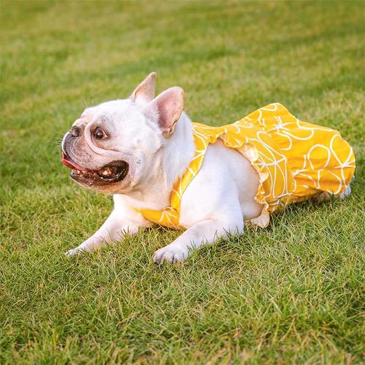 French store bulldog dresses