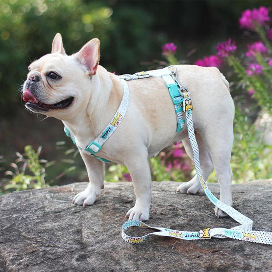 French Bulldog & Pug Harness- Rain Drops - Frenchiely